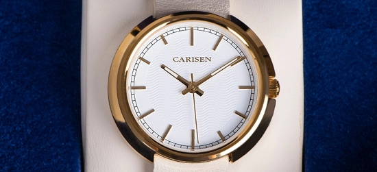 Why Choose Carisen's Seagull Movement Watches