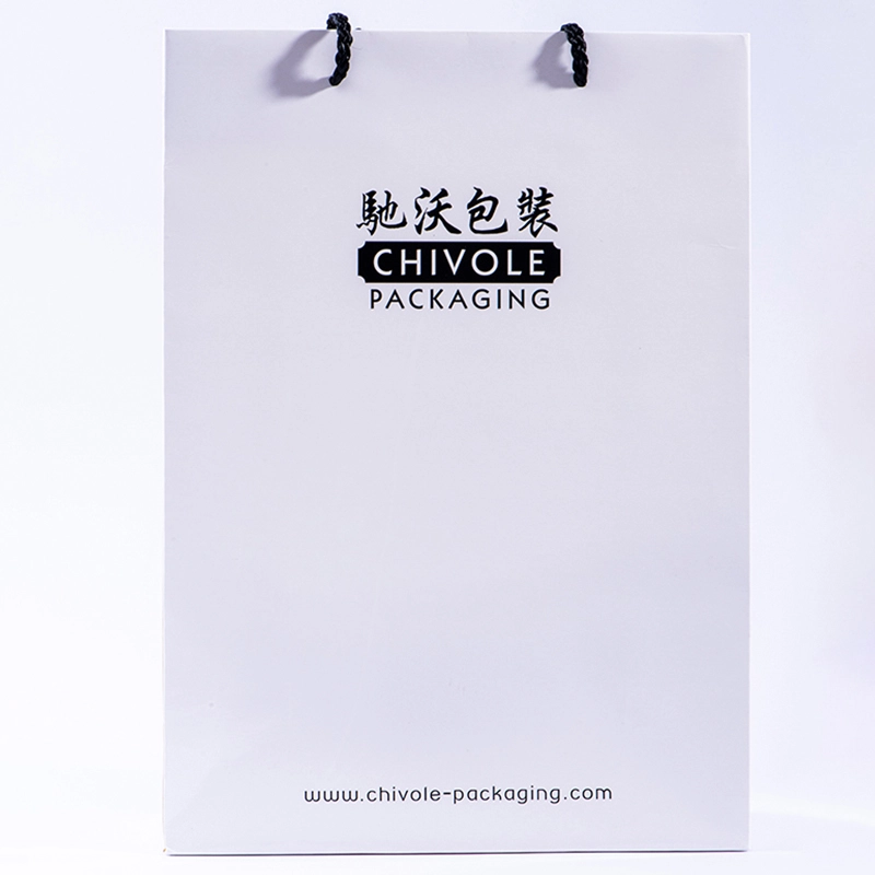 CHP0144 Watch Gift Bag