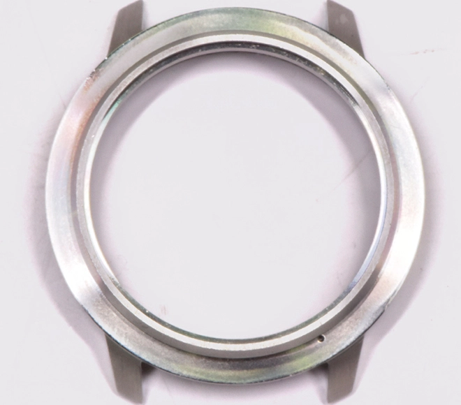 watch case manufacturer