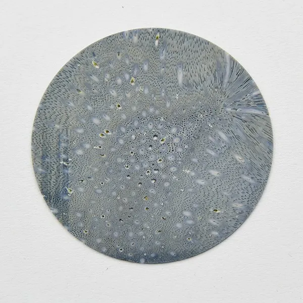 CST-159 Blue Coral